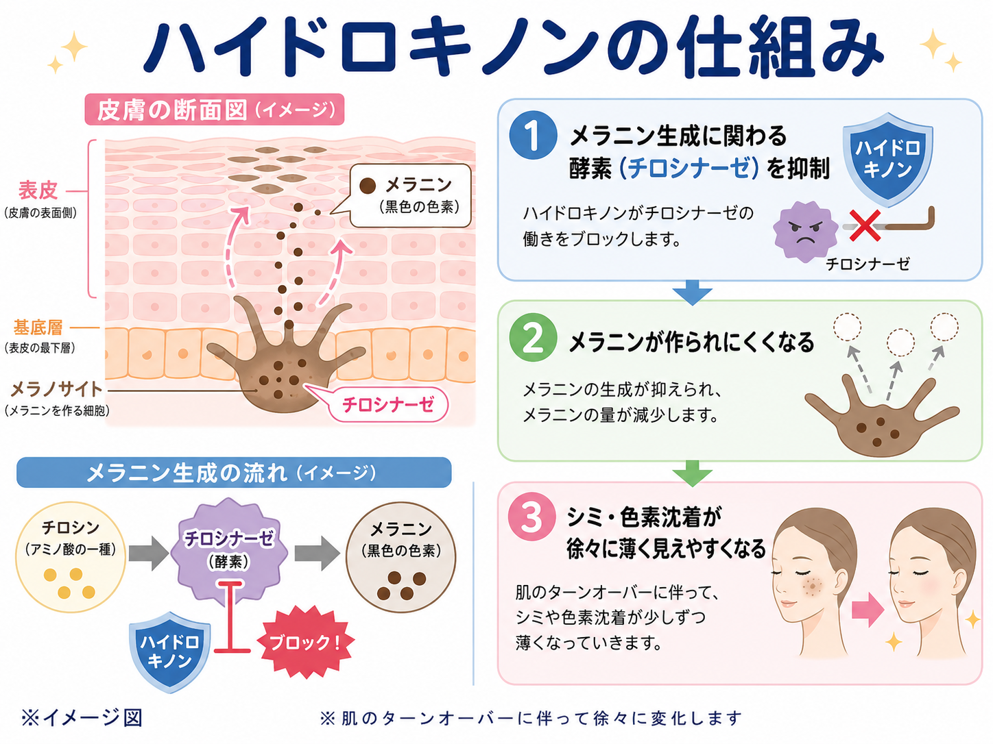 4%ハイドロキノンクリーム ― 美容皮膚科ティファクリニック横浜院