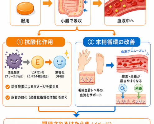 ユベラ錠の仕組み