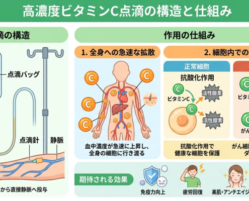 高濃度ビタミンCの構造と仕組みのイラスト