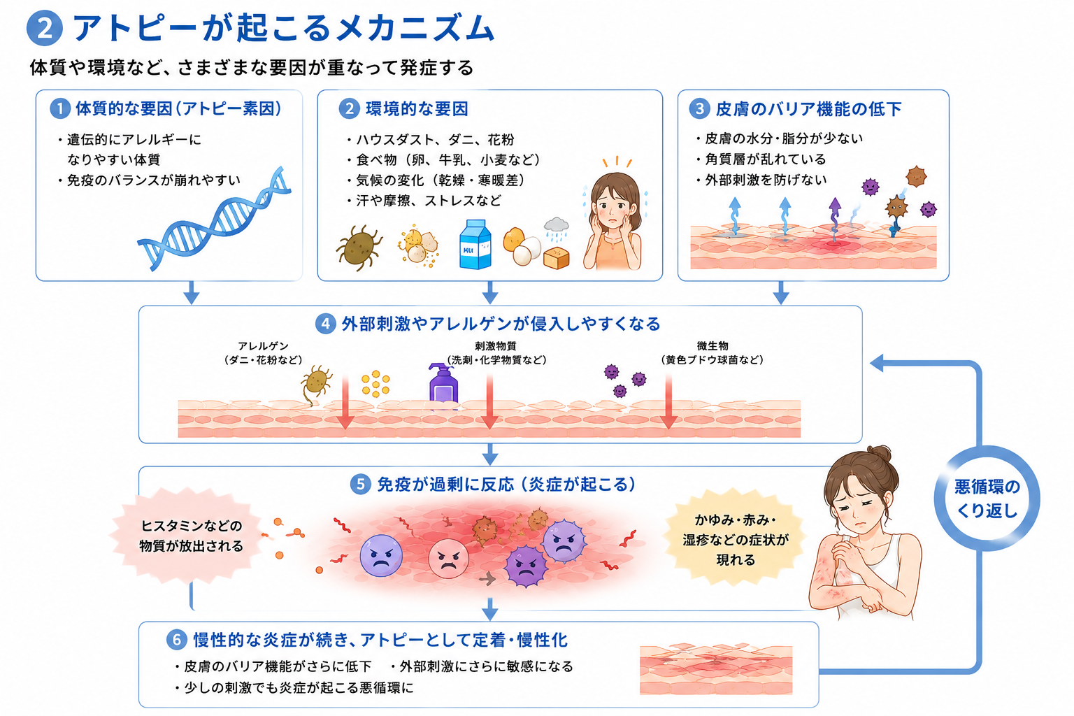 体質・環境・皮膚バリア機能低下などからアトピー性皮膚炎が起こるメカニズム