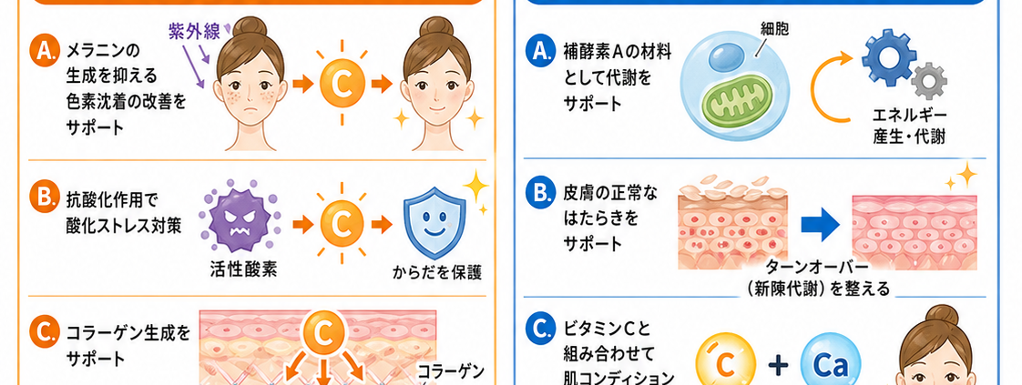 シナール配合錠の仕組み