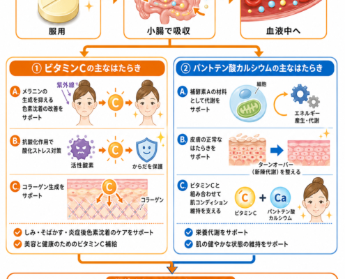 シナール配合錠の仕組み