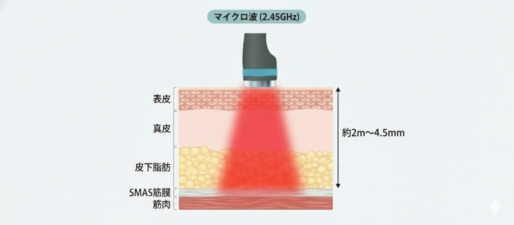 マイクロ波の照射イメージ