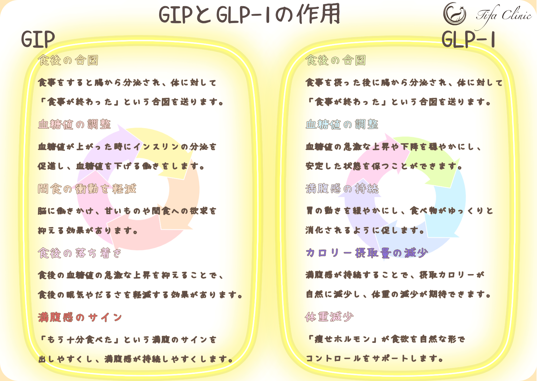 GIPとGLP-1の作用